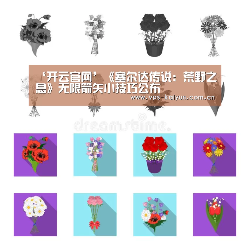 ‘开云官网’《塞尔达传说:荒野之息》无限箭矢小技巧公布(图1) 开云官网