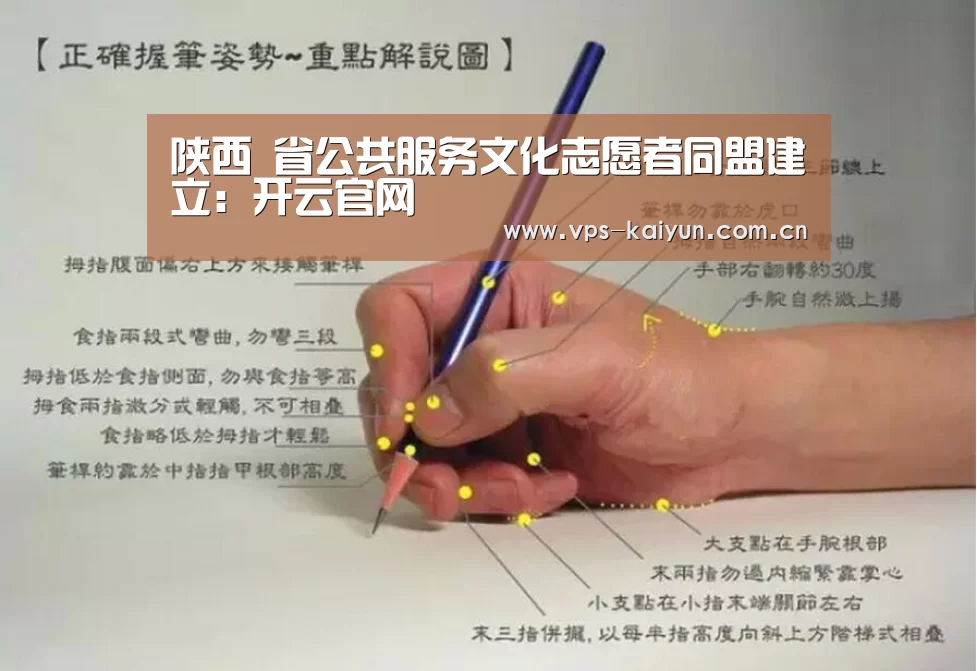 陕西 省公共服务文化志愿者同盟建立:开云官网(图1) 开元棋牌app